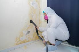 Reliable Hawley, MN Mold Remediation Solutions